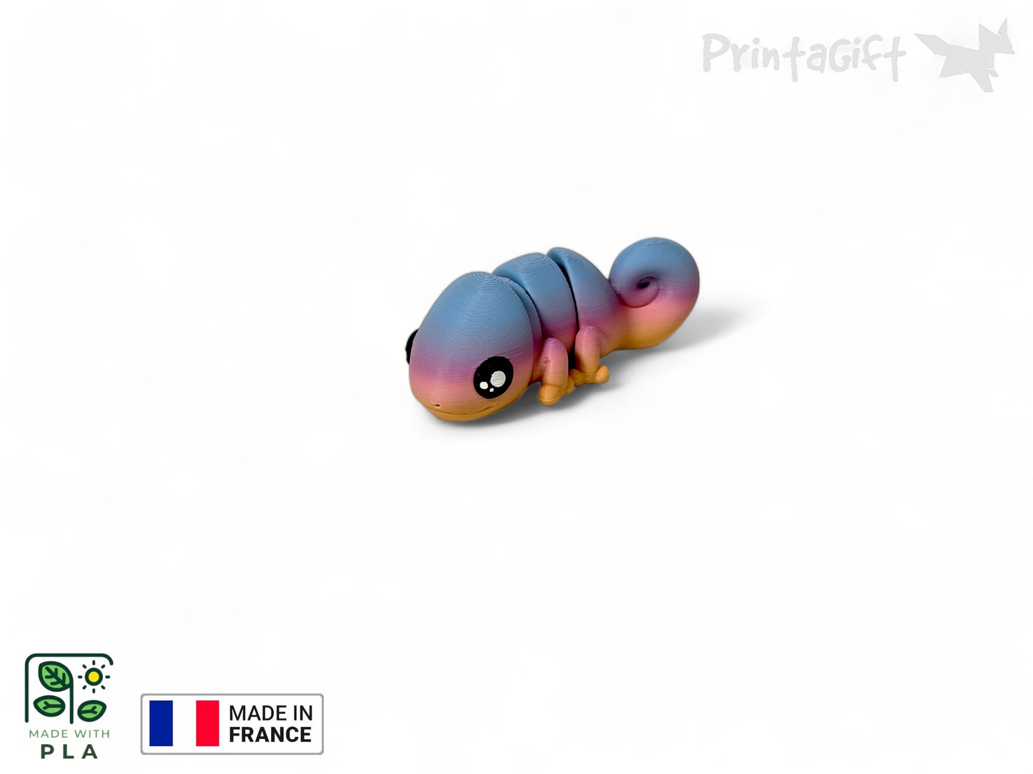 Caméléon arc-en-ciel