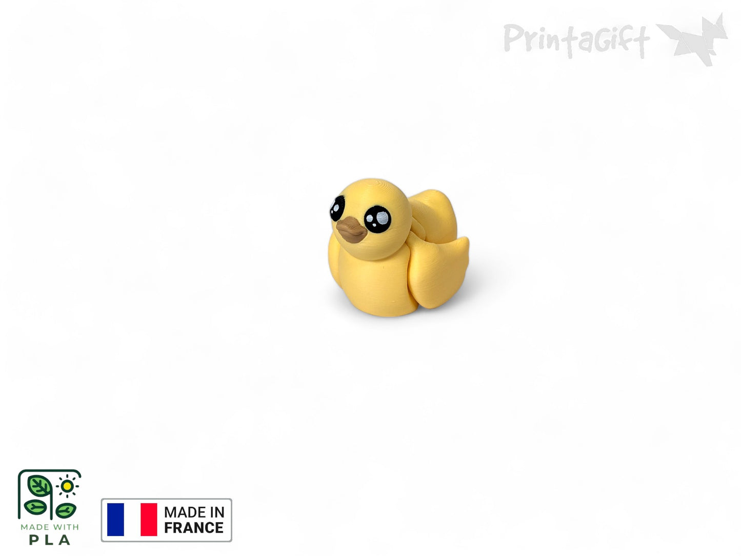 Canard