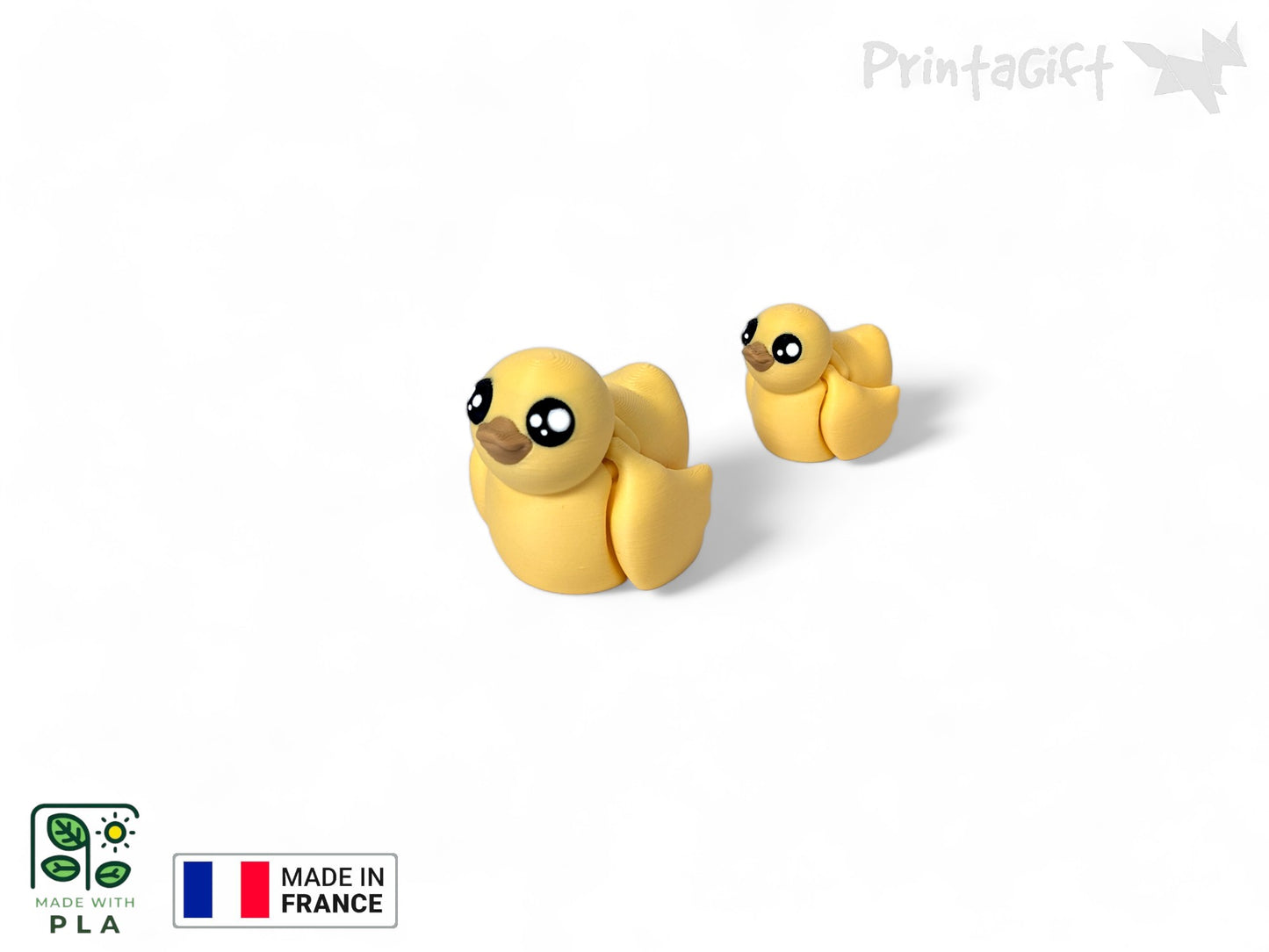 Canard