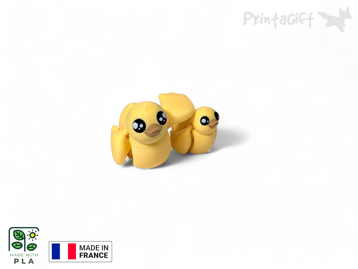 Canard