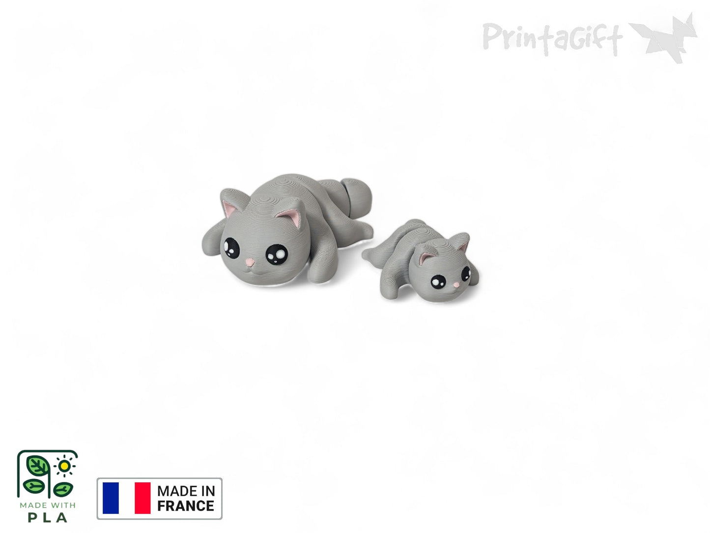 Chat gris