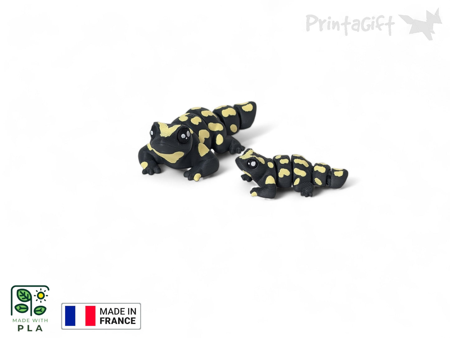 Salamandre jaune