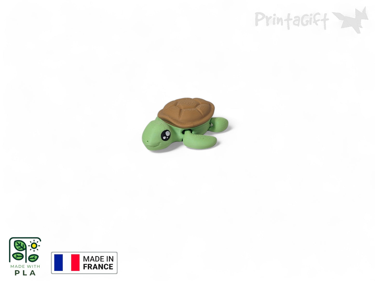 Tortue