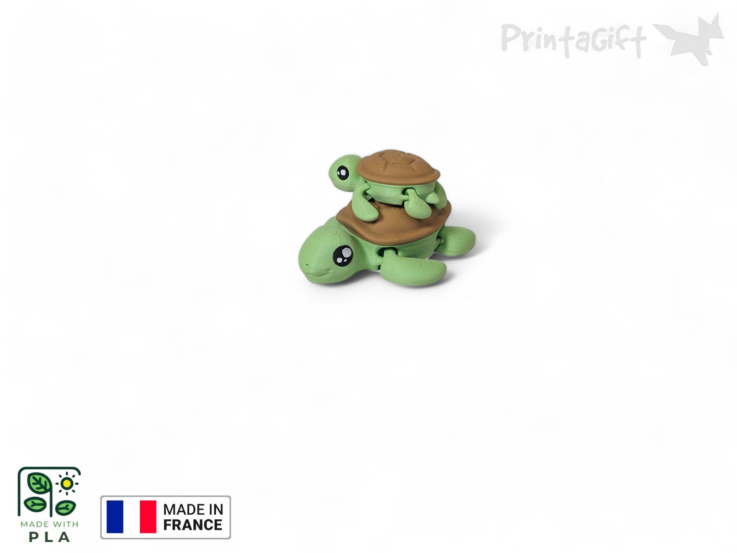 Tortue