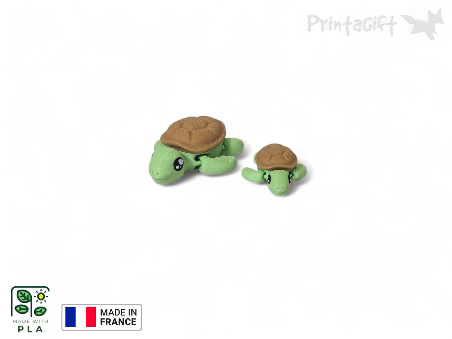 Tortue