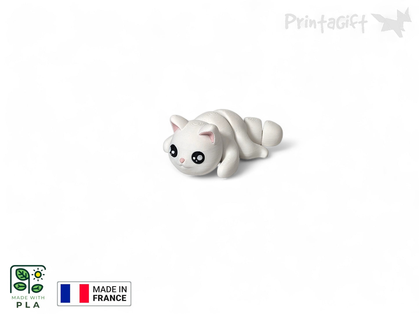 Chat blanc