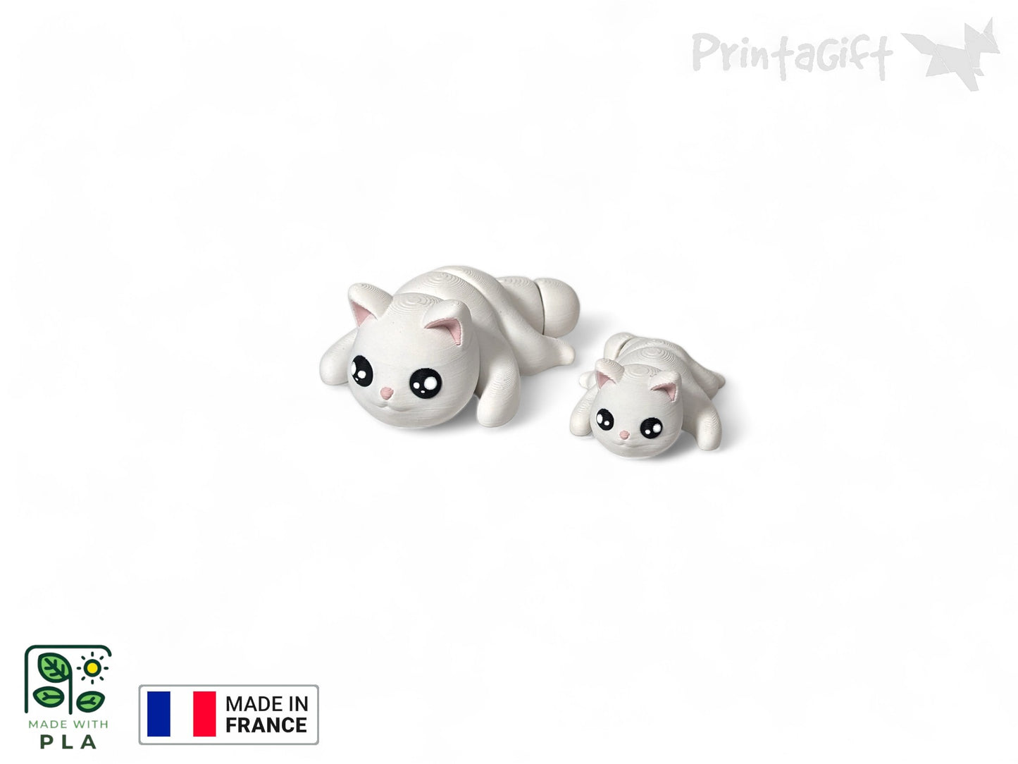 Chat blanc