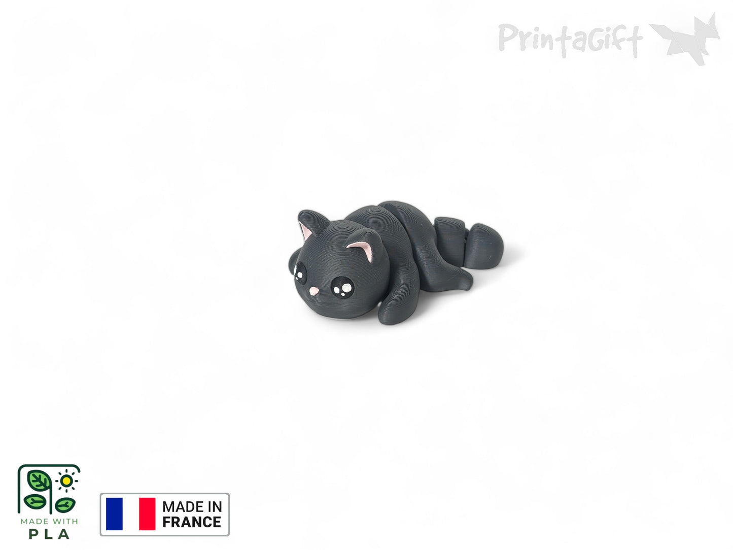 Chat noir