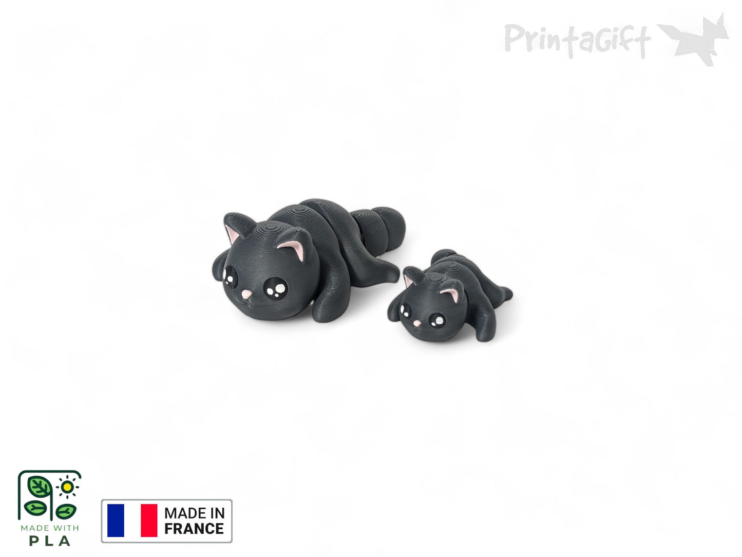 Chat noir