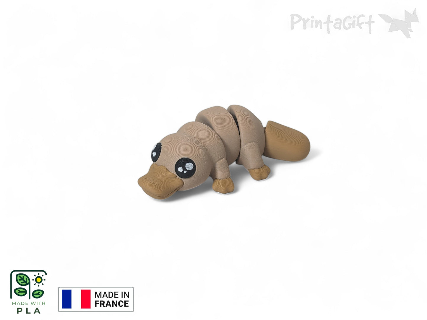 Ornithorynque