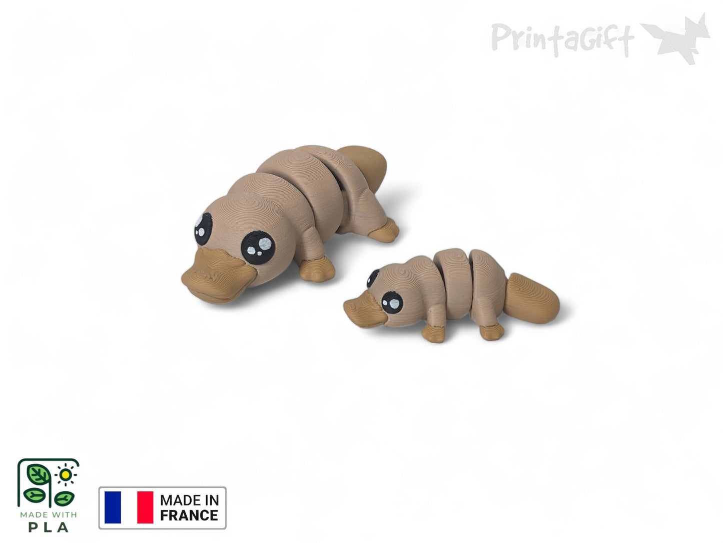 Ornithorynque