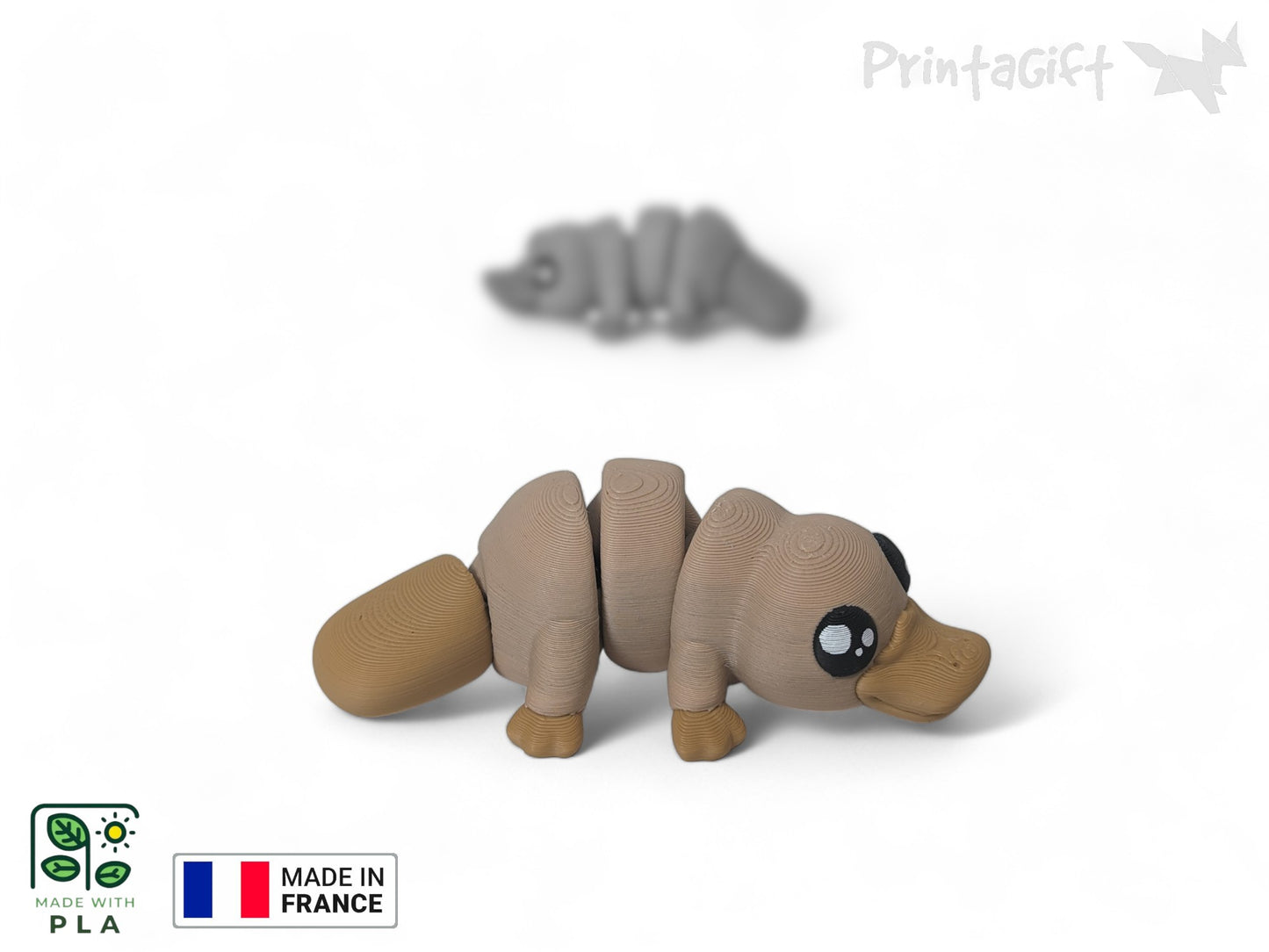 Ornithorynque