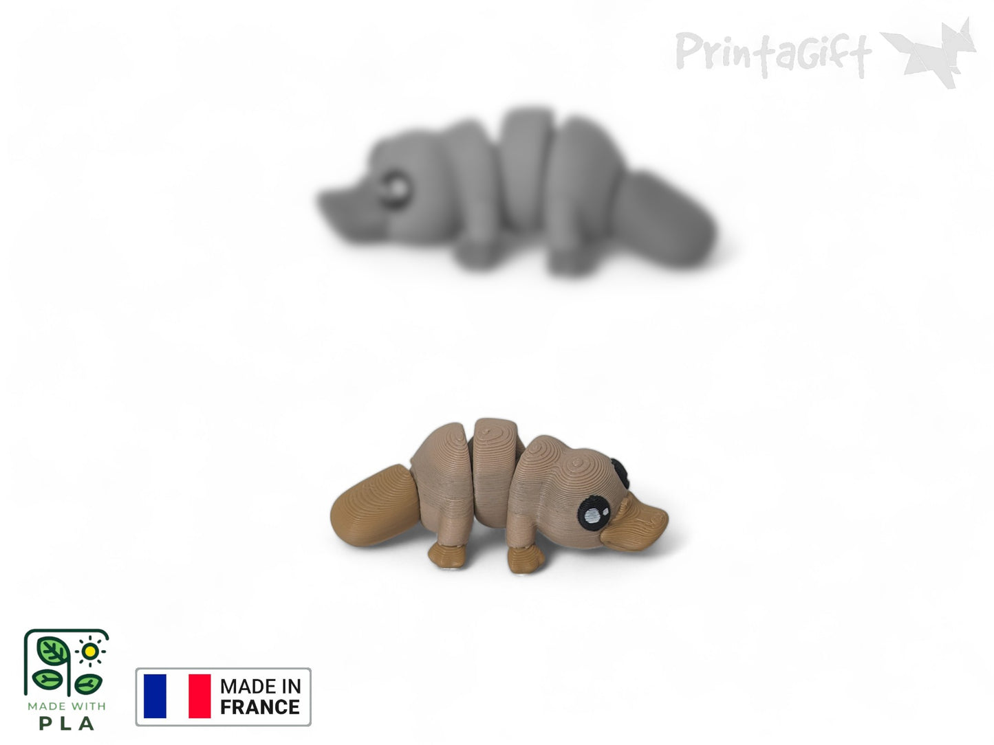 Ornithorynque