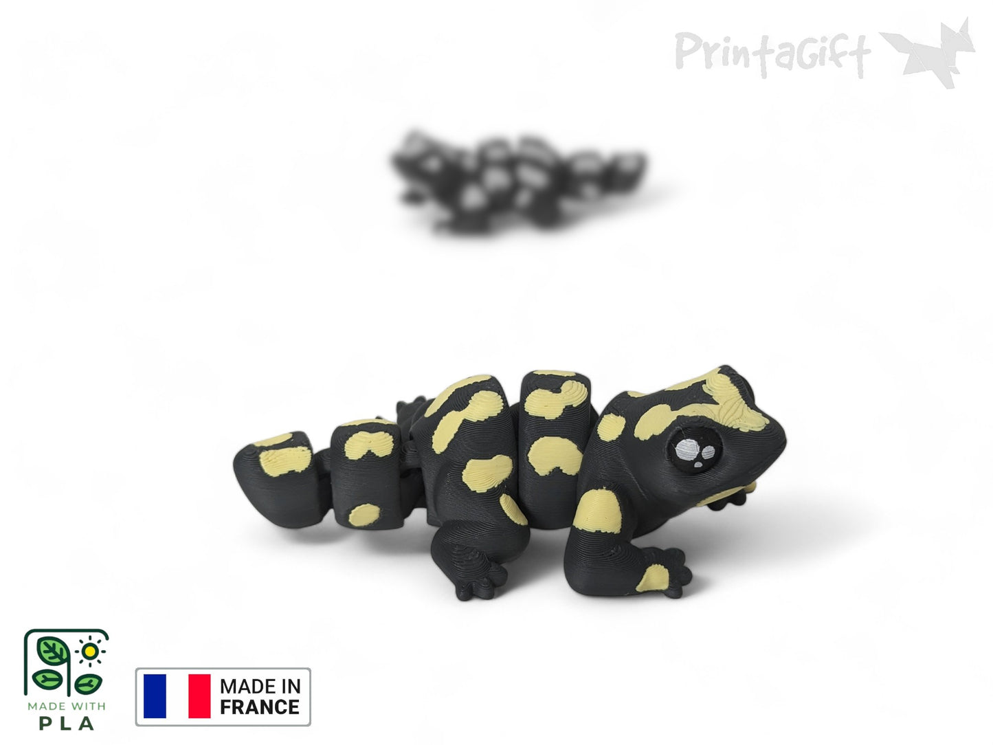 Salamandre jaune