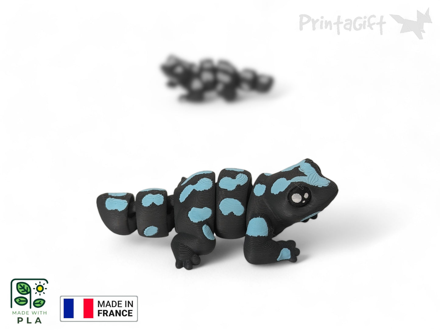 Salamandre bleu