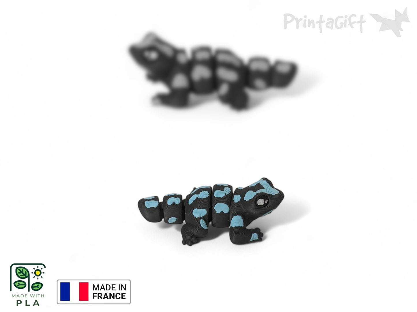 Salamandre bleu