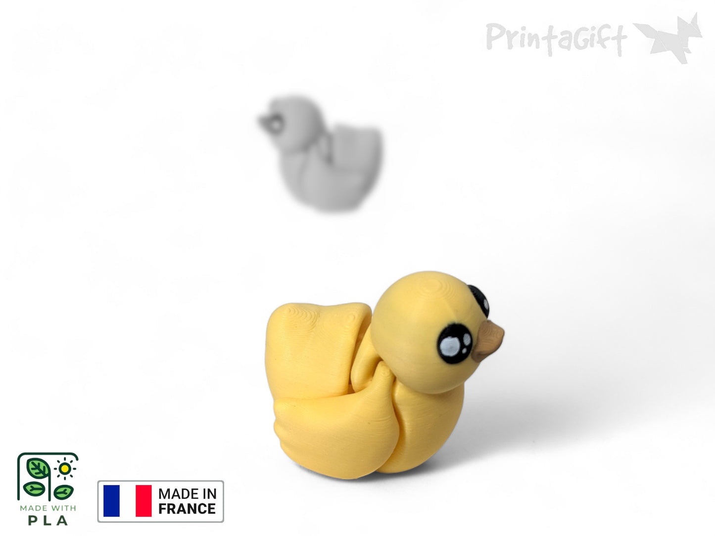Canard