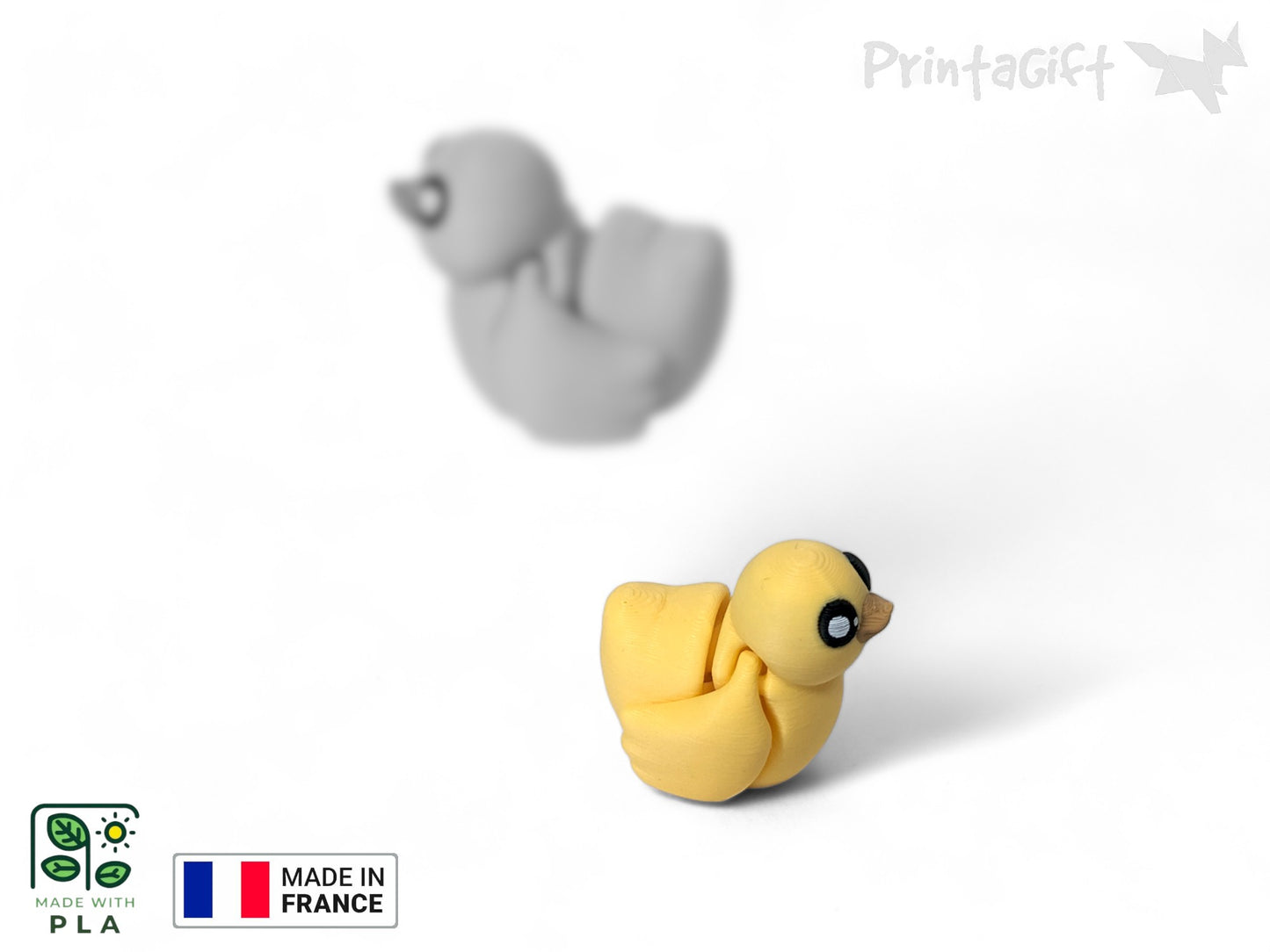 Canard