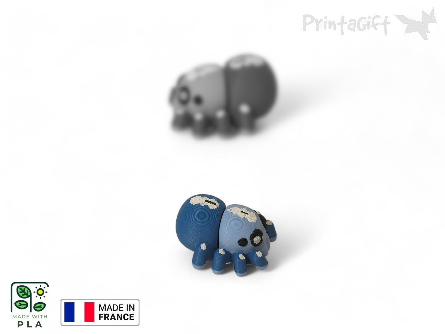 Araignée