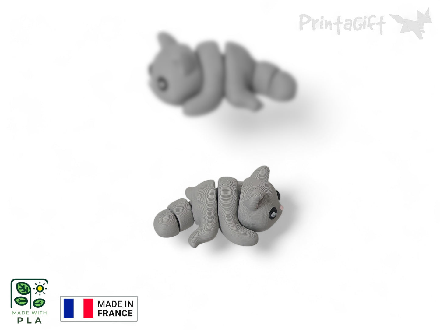 Chat gris