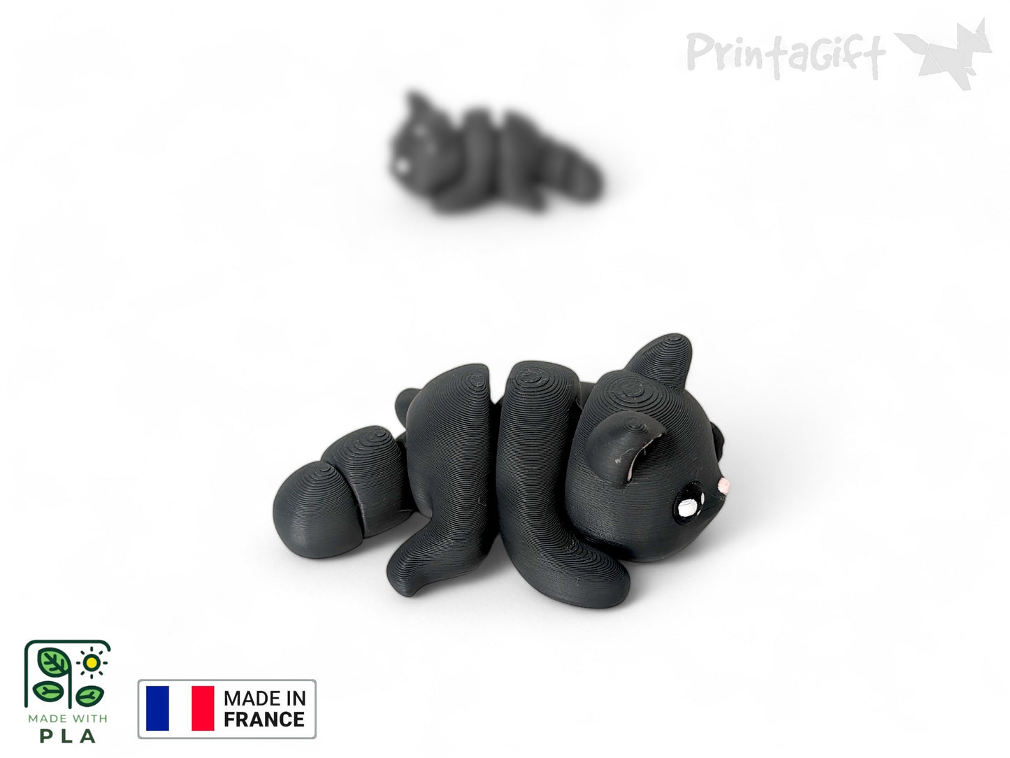 Chat noir