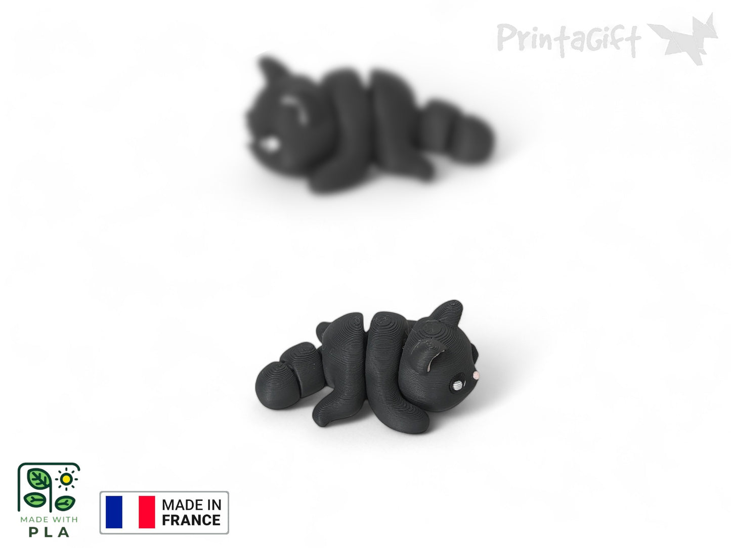 Chat noir