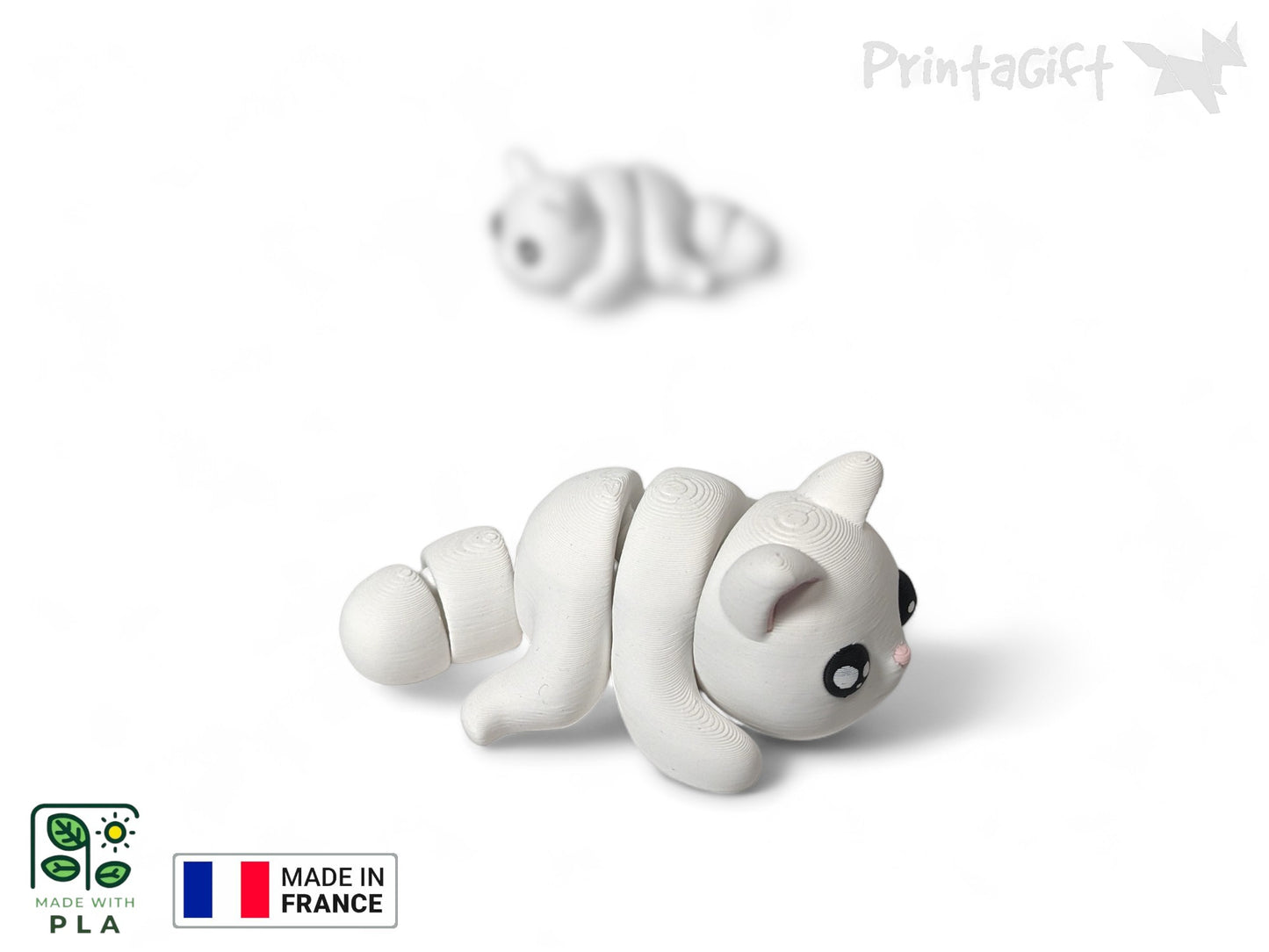 Chat blanc