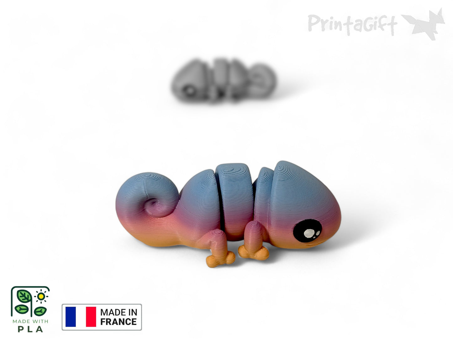 Caméléon arc-en-ciel