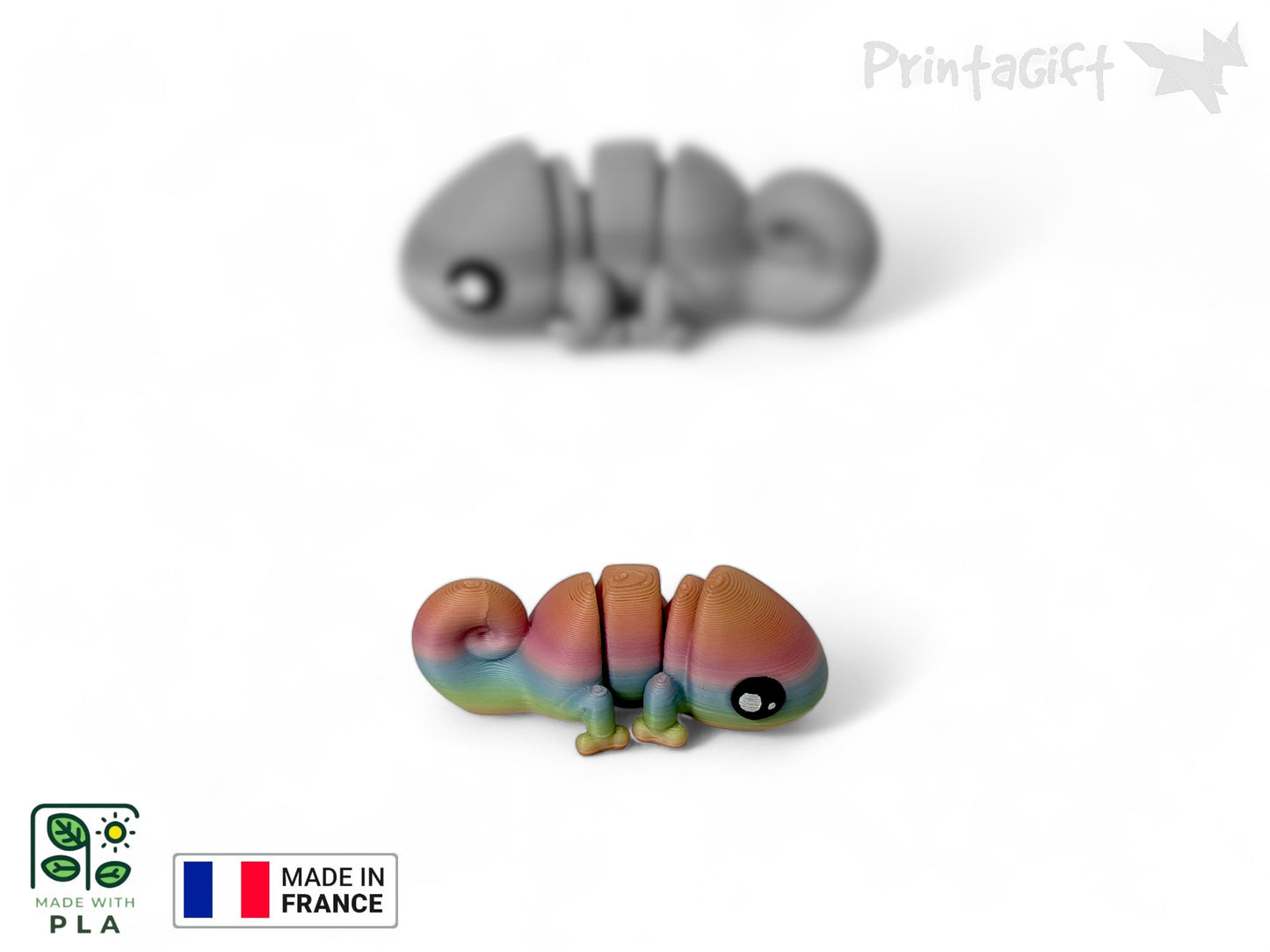 Caméléon arc-en-ciel