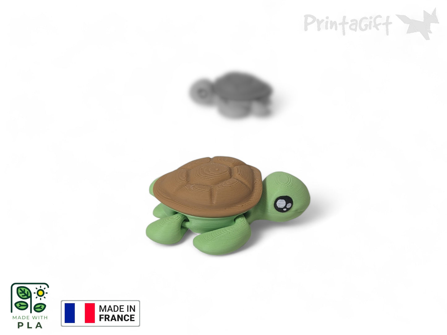 Tortue