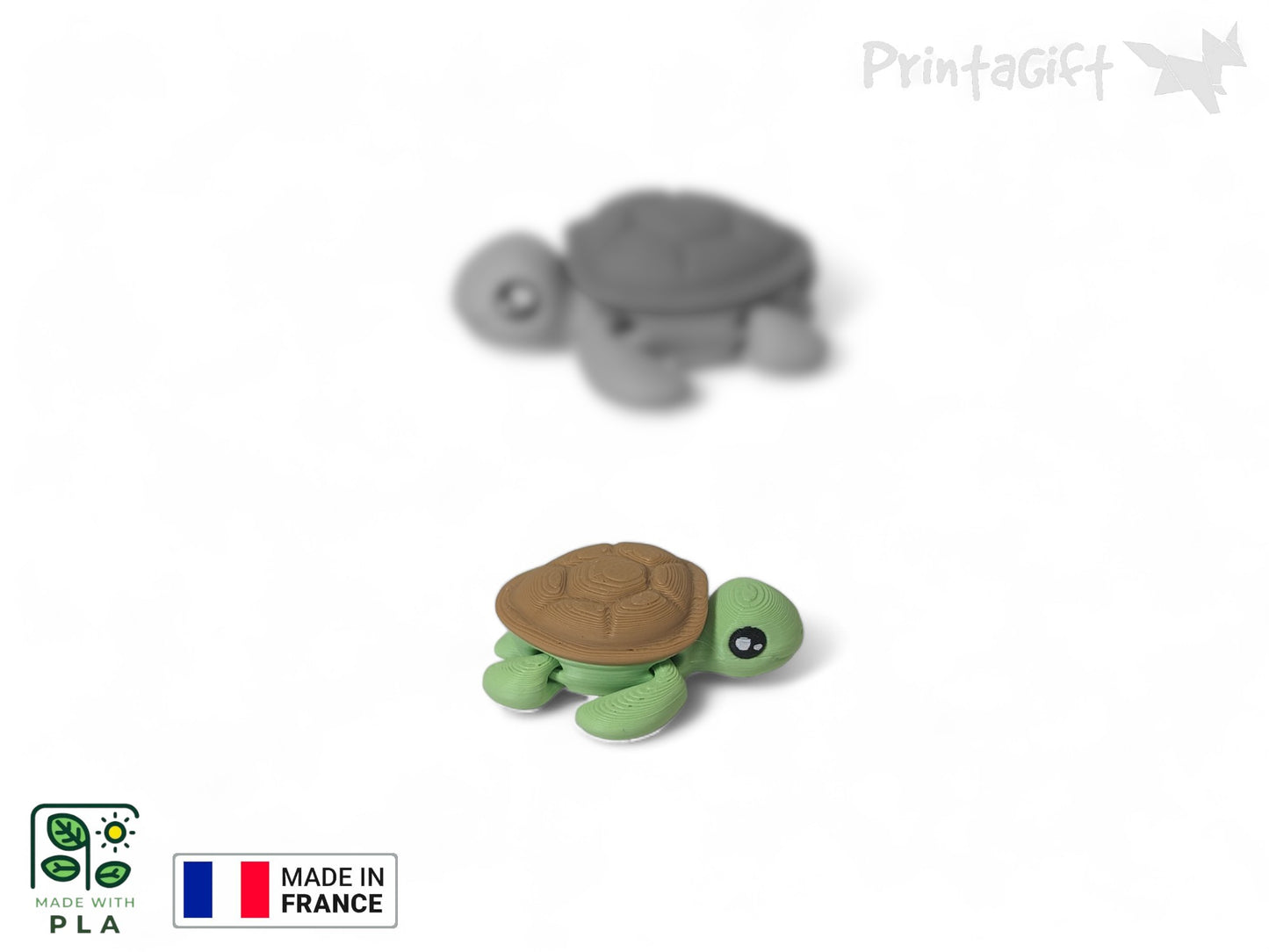 Tortue