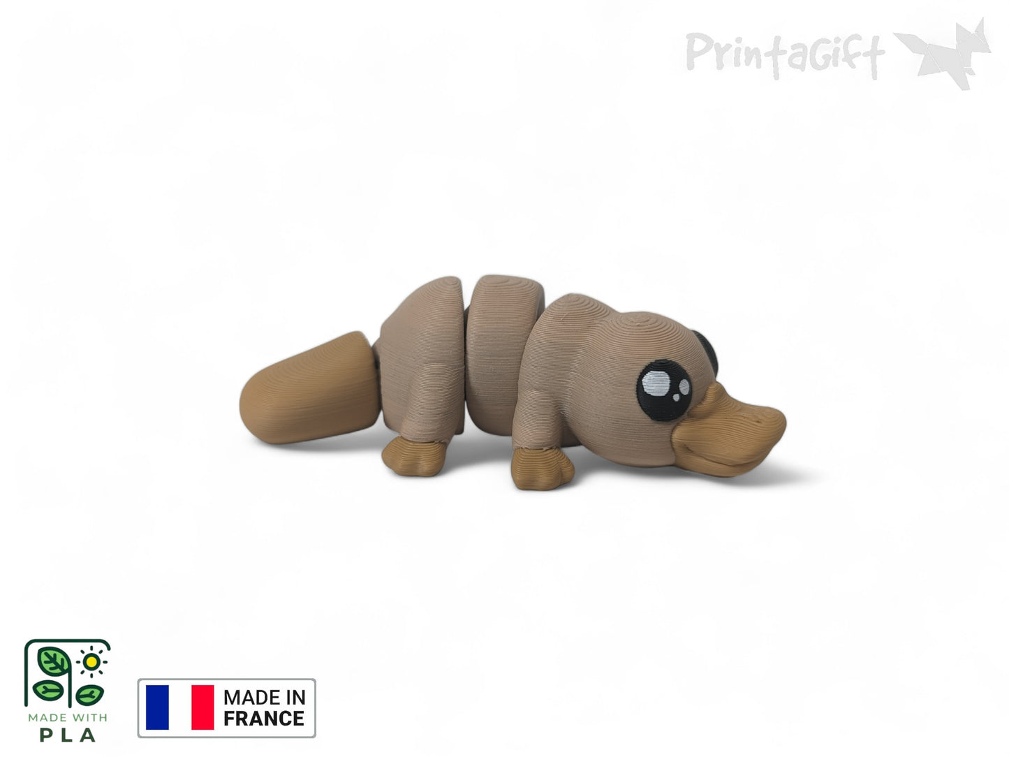 Ornithorynque
