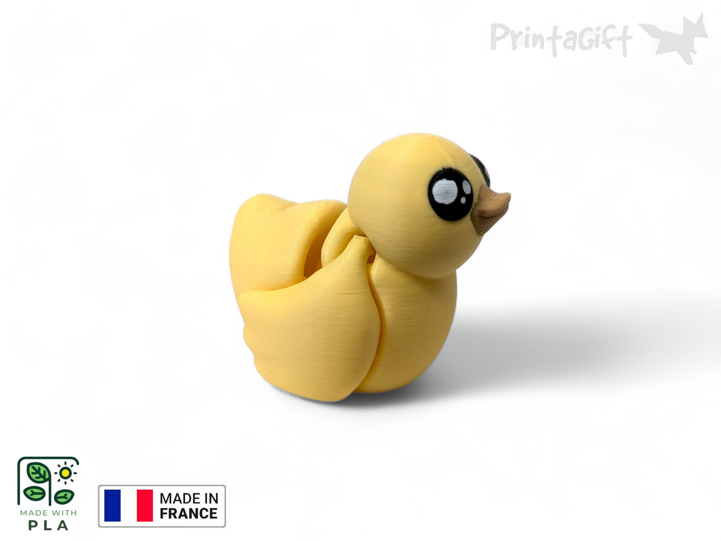 Canard