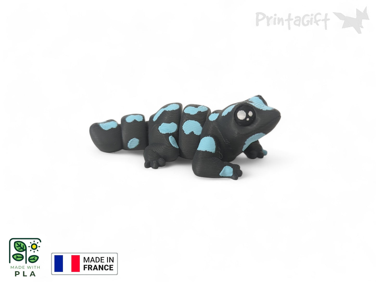 Salamandre bleu
