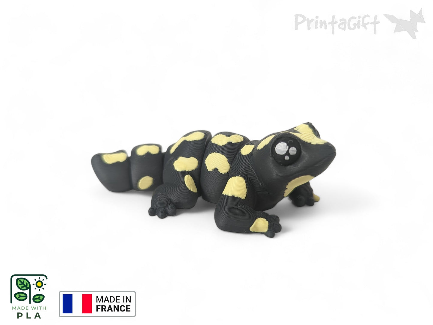 Salamandre jaune