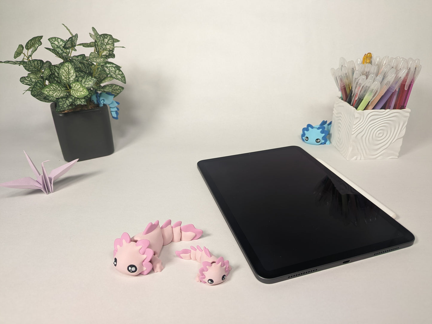 Axolotl rose