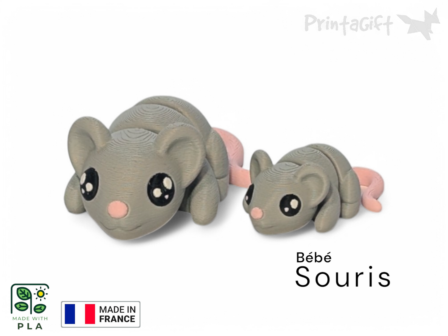 Souris