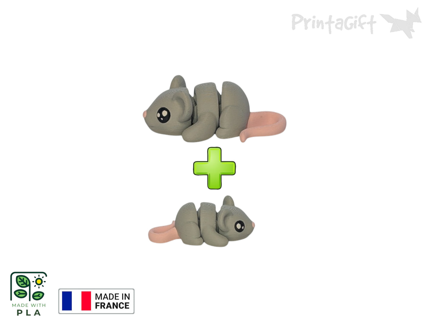 Souris