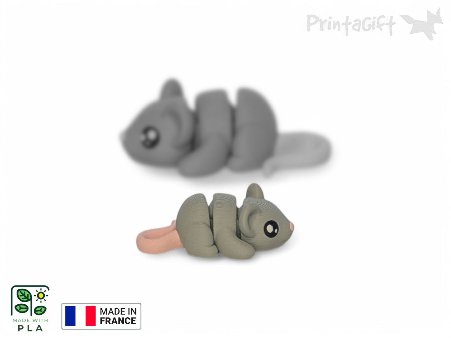 Souris