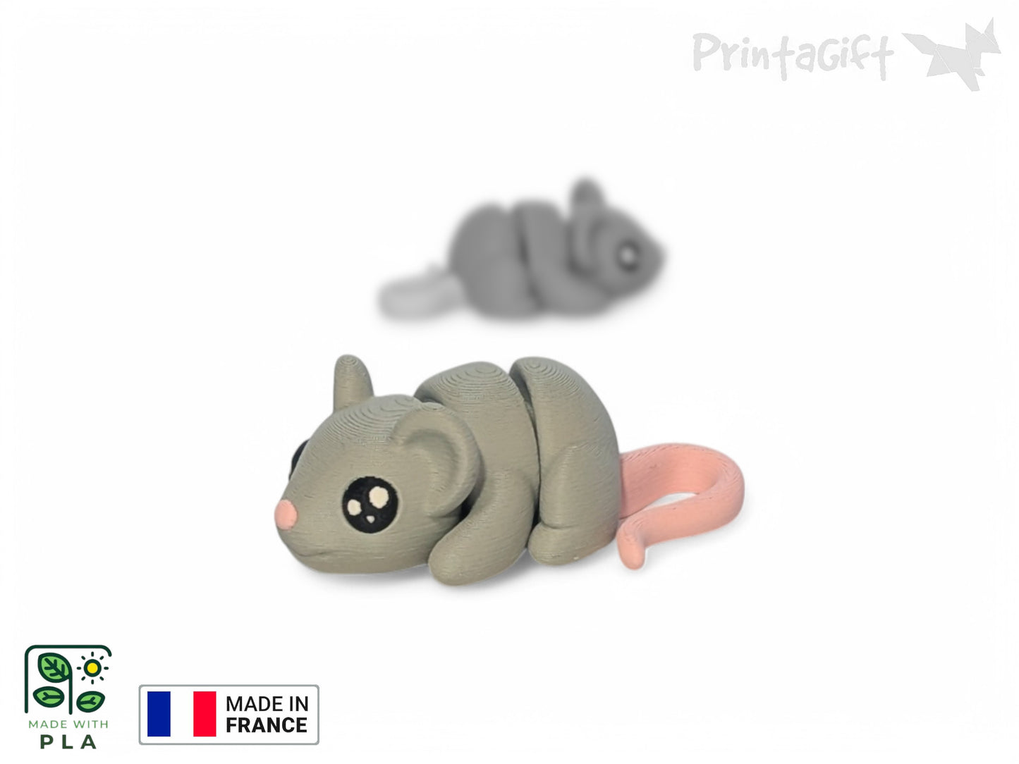 Souris