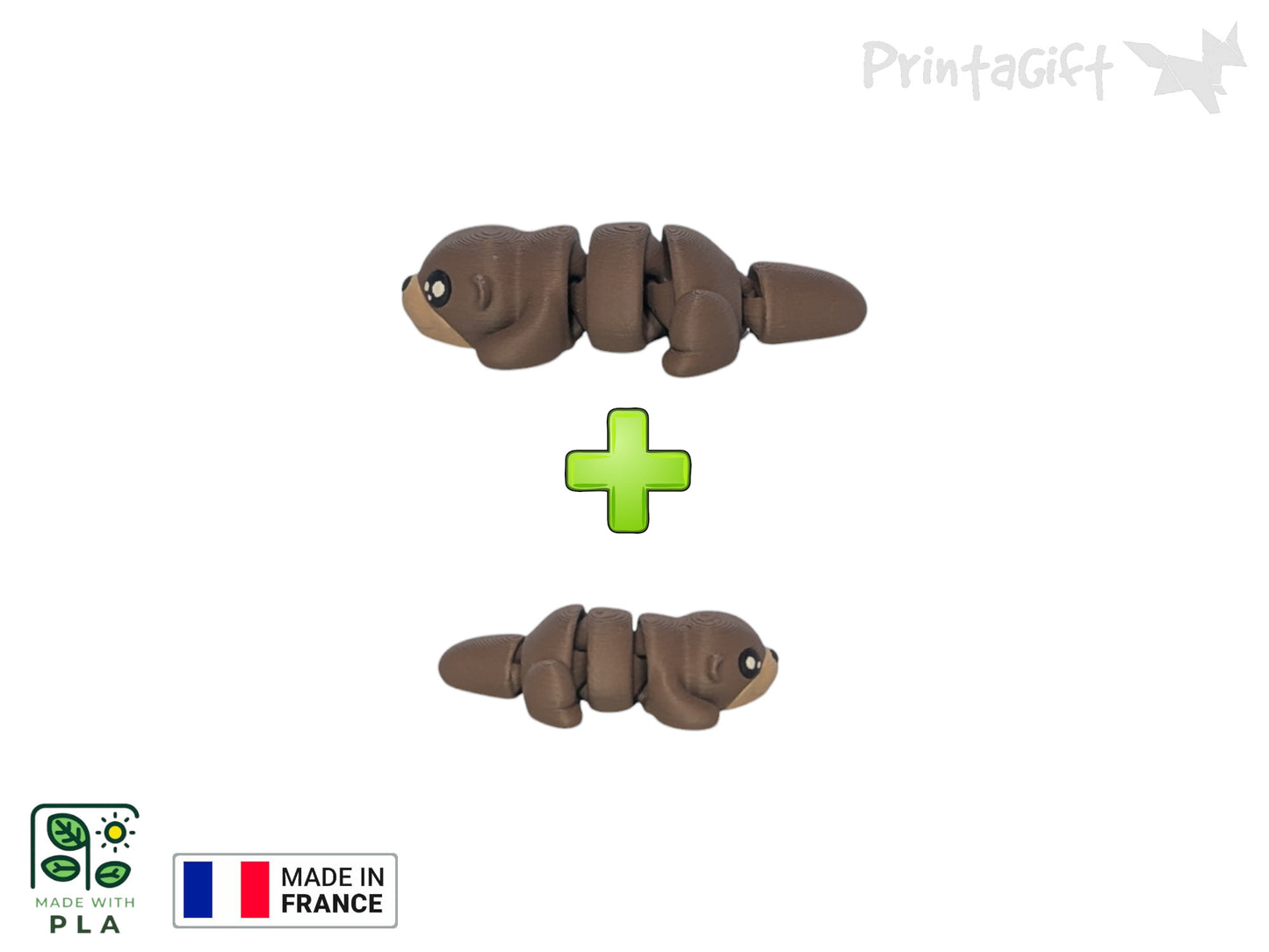 Loutre