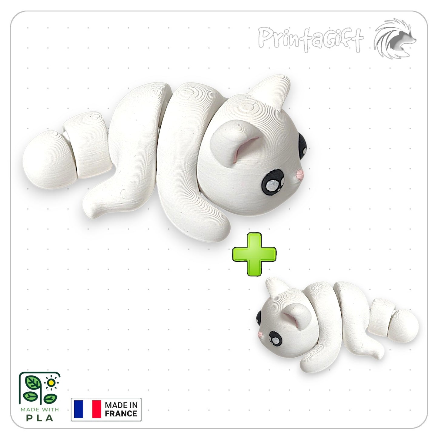 Chat blanc