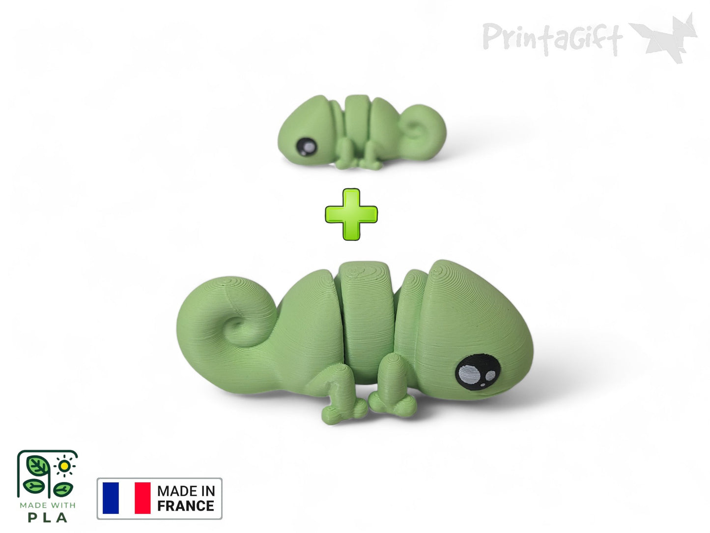 Caméléon