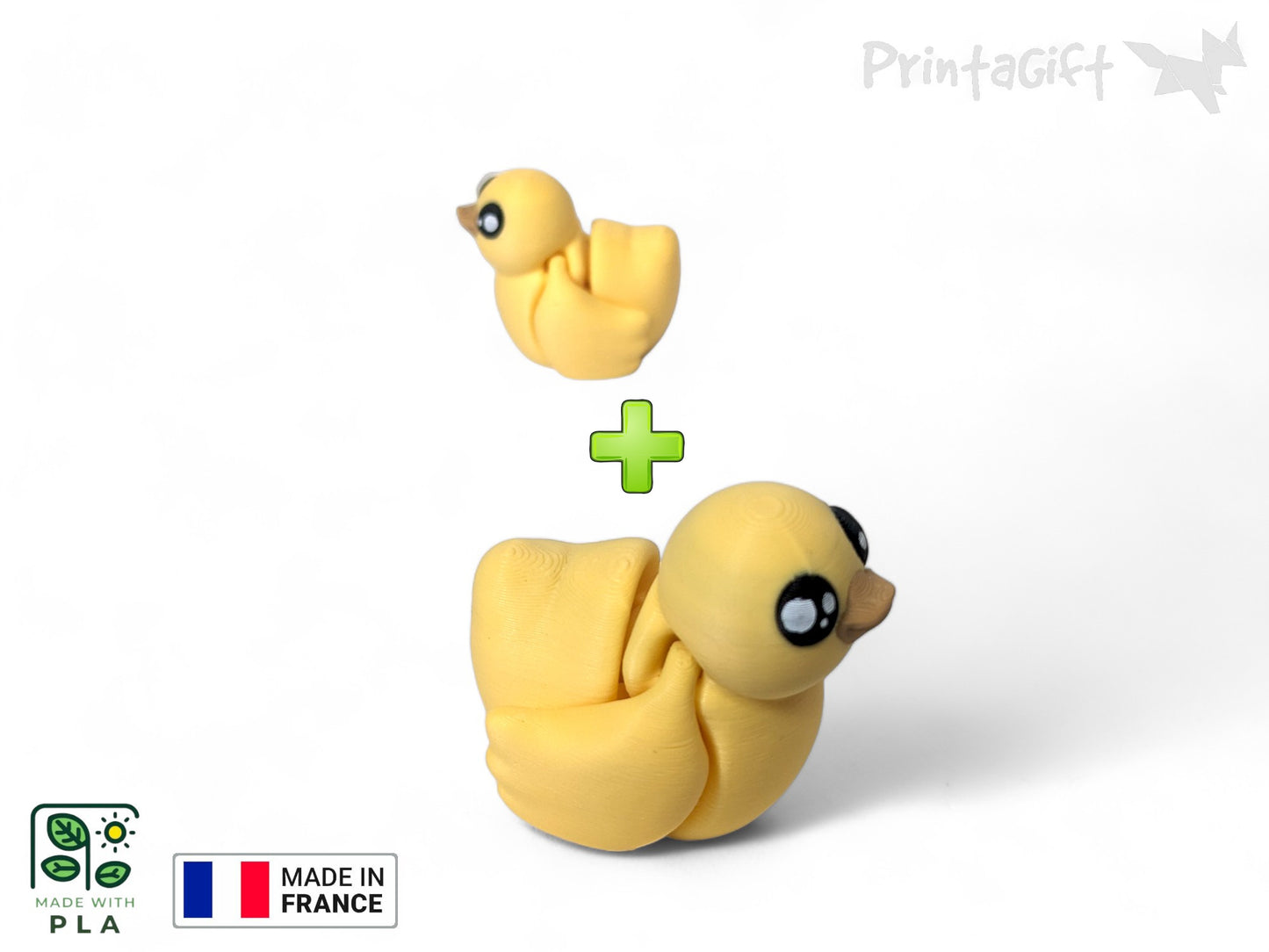Canard