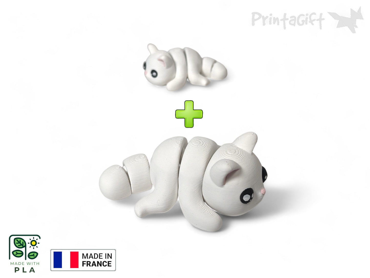 Chat blanc