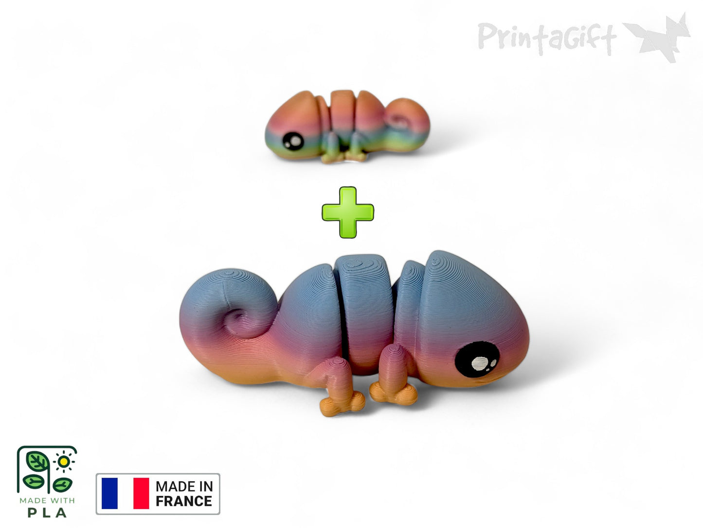 Caméléon arc-en-ciel