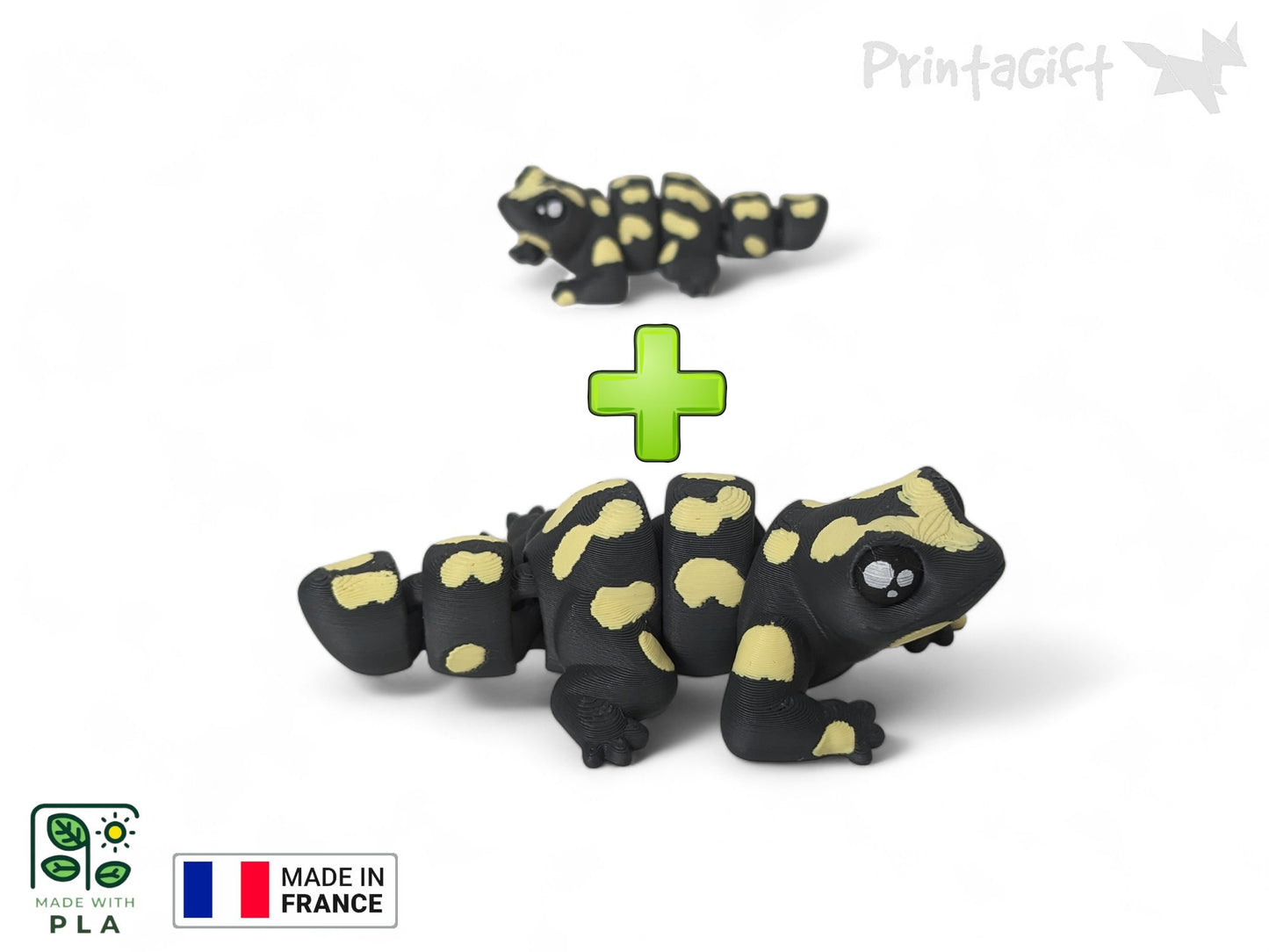 Salamandre jaune