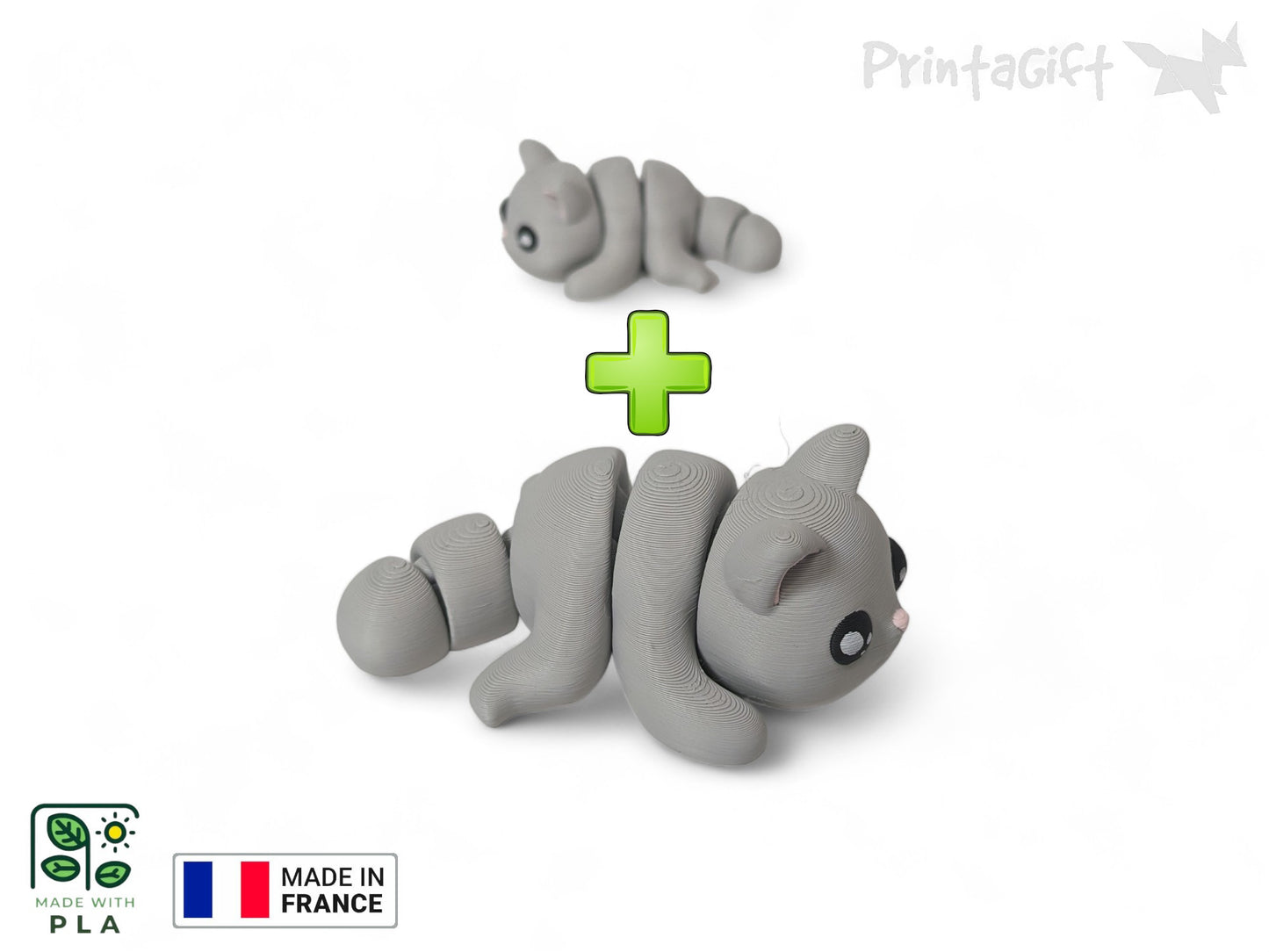 Chat gris