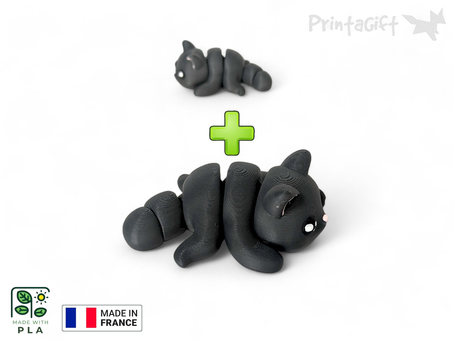 Chat noir