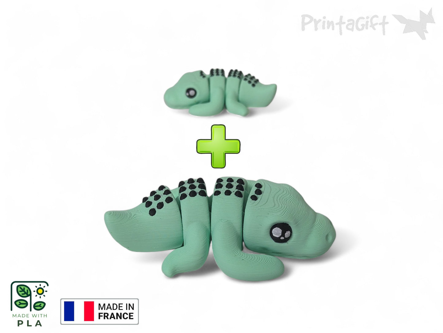Crocodile